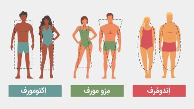 بدنسازی تیپ بدنی