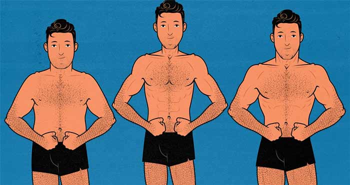 تیپ بدنی در بدنسازی 