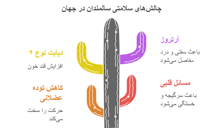 اینفوگرافیک چالش های سلامتی سالمندان در جهان 