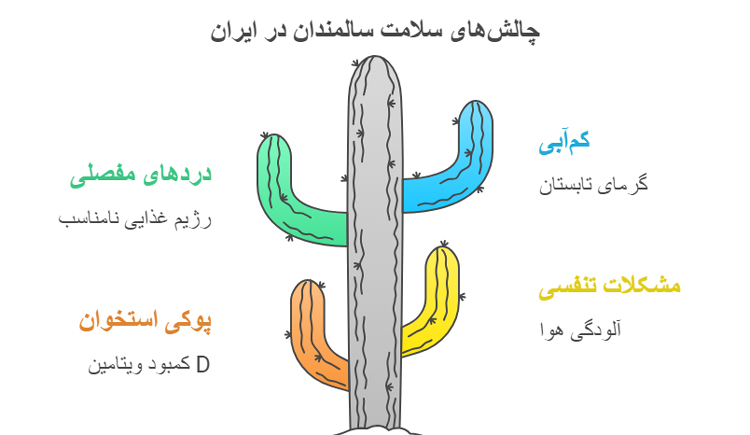 اینفوگرافیک چالش های سلامت سالمندان در ایران 