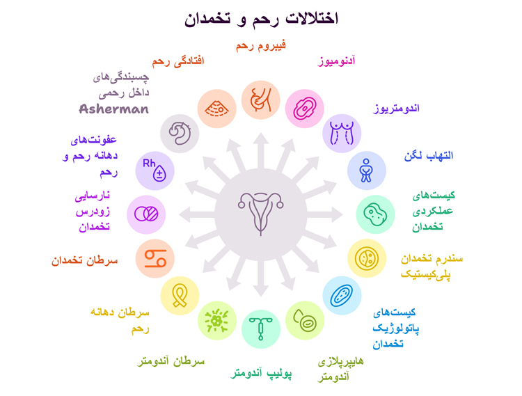اینفوگرافیک اختلالات رحم و تخمدان 